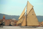 Les-voiles-de-saint-tropez_s165x110