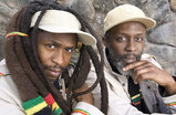 Steel-pulse_s159