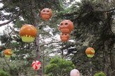 Outside-lands-music-and-arts-festival_s165x110