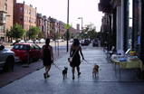 South End, Boston.