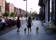 South End, Boston.