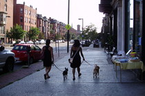 South End, Boston.