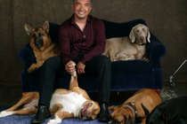 Cesar-millan-live_s210x140