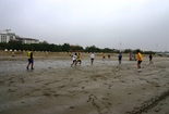 Lido Beach - Beach | Outdoor Activity in Venice.