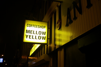Mellow Yellow - Coffeeshop in Amsterdam.