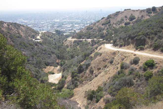 Photo of Runyon Canyon