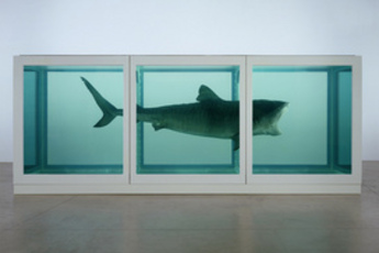 Damien Hirst Exhibit - Art Exhibit in London.