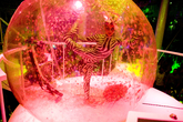 Es-paradis_s165x110