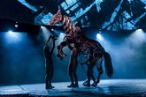 War-horse-2_s165x110