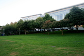 Soma_s165x110
