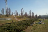 Mauerpark-flea-market_s165x110
