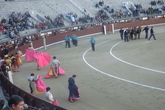 Bullfights-at-las-ventas_s165x110