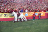 Usc-trojans-football_s165x110