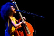 Blue-note-jazz-festival-2013_s210x140