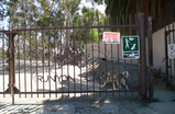 Runyon-canyon_s159