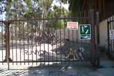 Runyon-canyon_s165x110