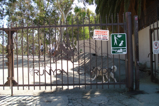 Photo of Runyon Canyon
