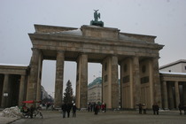 Tiergarten - Outdoor Activity | Park in Berlin.