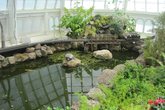 Conservatory of Flowers - Park | Landmark | Museum | Event Space | Tour in SF