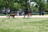The-national-mall_s165x110
