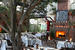 Dominick's - Bar | Historic Restaurant | Italian Restaurant in Los Angeles.
