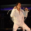 Elvis Fest - Concert | Food & Drink Event | Music Festival | Special Event in Chicago