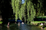 Englischer-garten_s159