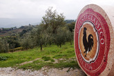 Chianti-region_s165x110