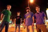 Animal-collective_s165x110
