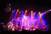 The-black-crowes_s165x110