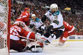 San Jose Sharks