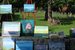 Circle the Square - Arts Festival | Music Festival | Performing Arts | Food & Drink Event in Boston