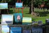 Circle the Square - Arts Festival | Music Festival | Performing Arts | Food & Drink Event in Boston.