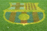 Camp Nou - Concert Venue | Stadium in Barcelona.