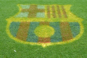 Camp Nou - Concert Venue | Stadium in Barcelona.
