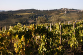 Chianti-region_s165x110