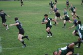 Golden-gate-rfc-rugby_s165x110