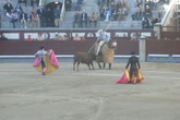 Bullfights-at-las-ventas_s165x110