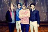 The Vaccines