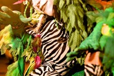 The-zoo-project_s165x110