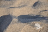 Venice-beach_s165x110