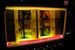 Sweet Paradise Lounge - Dive Bar | Lounge in New York.