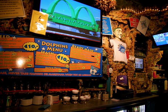 Photo of The Dolphins