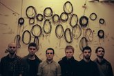 White-rabbits_s165x110