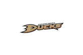 Anaheim-ducks-hockey_s165x110