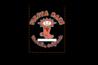 Vacaville Fiesta Days - Festival | Music Festival | Sports | Food Festival in San Francisco.