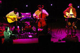 The-magnetic-fields_s165x110