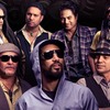 Katchafire