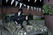 John Cooper Clarke
