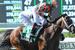 Belmont Stakes - Horse Racing in New York.